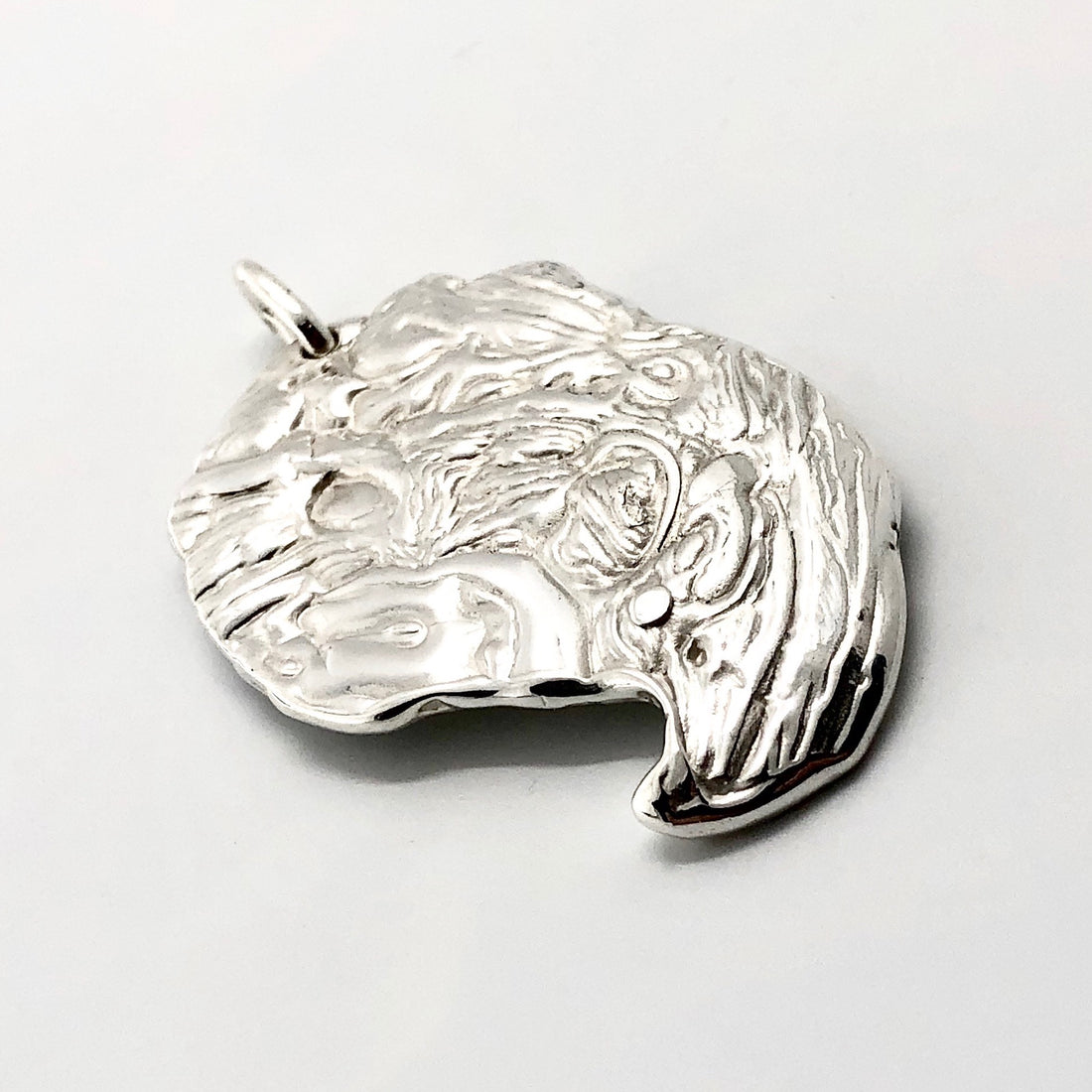 Pendentif griffe en argent