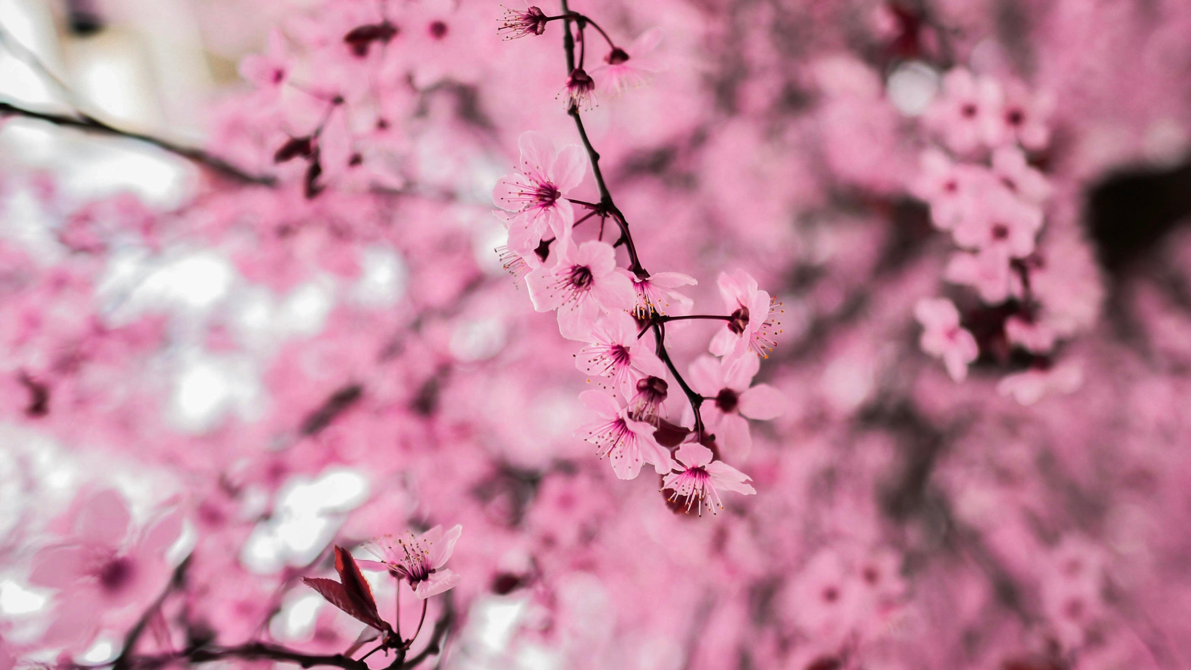 slider image slider_item_Nj9YbB